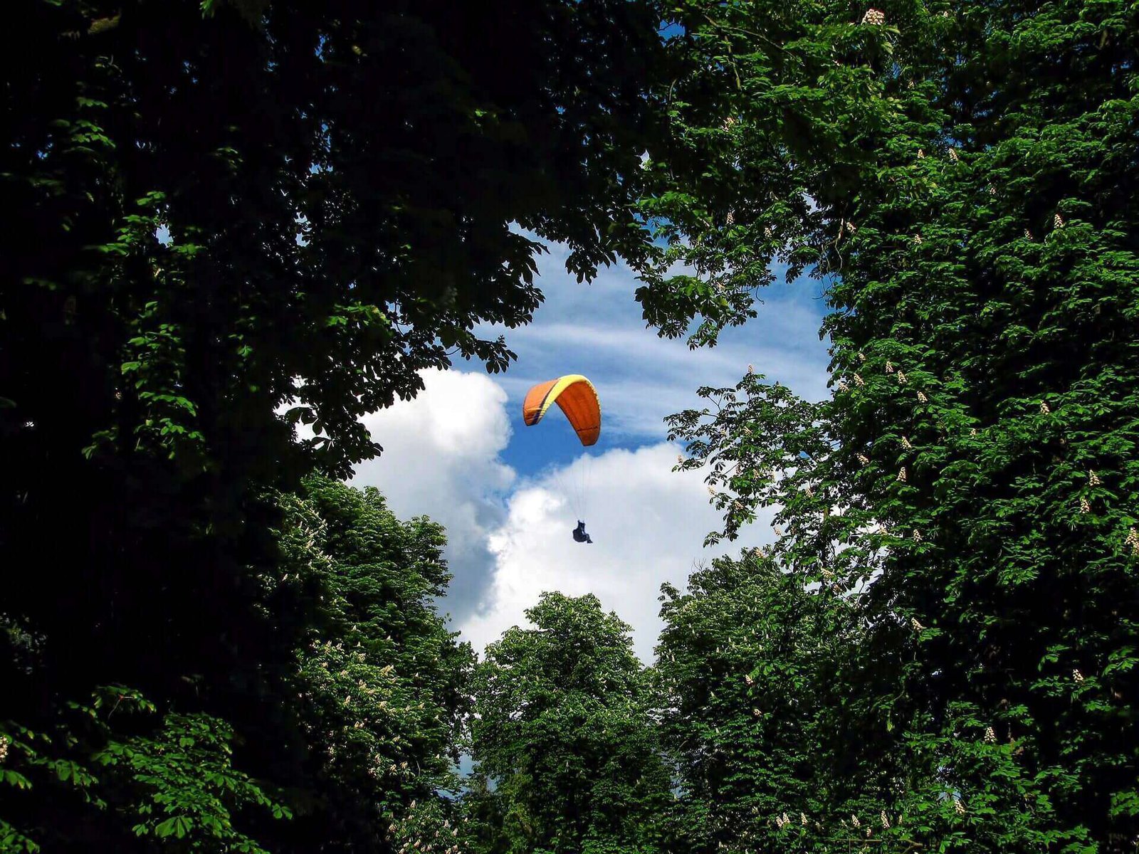 Everest Skydiving: What to Ask Before You Book